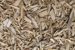 biomass boilers Larches